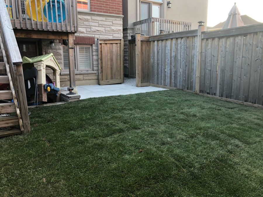 lawn replacement Toronto