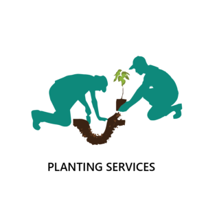 Planting Services