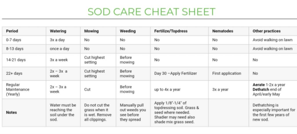 sod-care-sheet