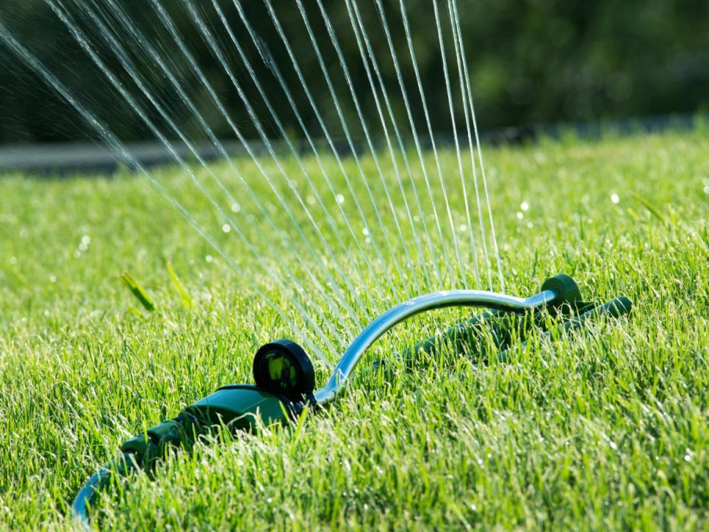 royalsodding watering lawn